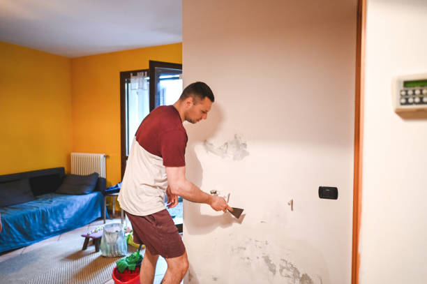 Best Mold Remediation  in Eton, GA